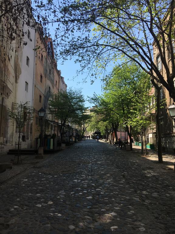 Optimist No.1 Daire Belgrad Dış mekan fotoğraf